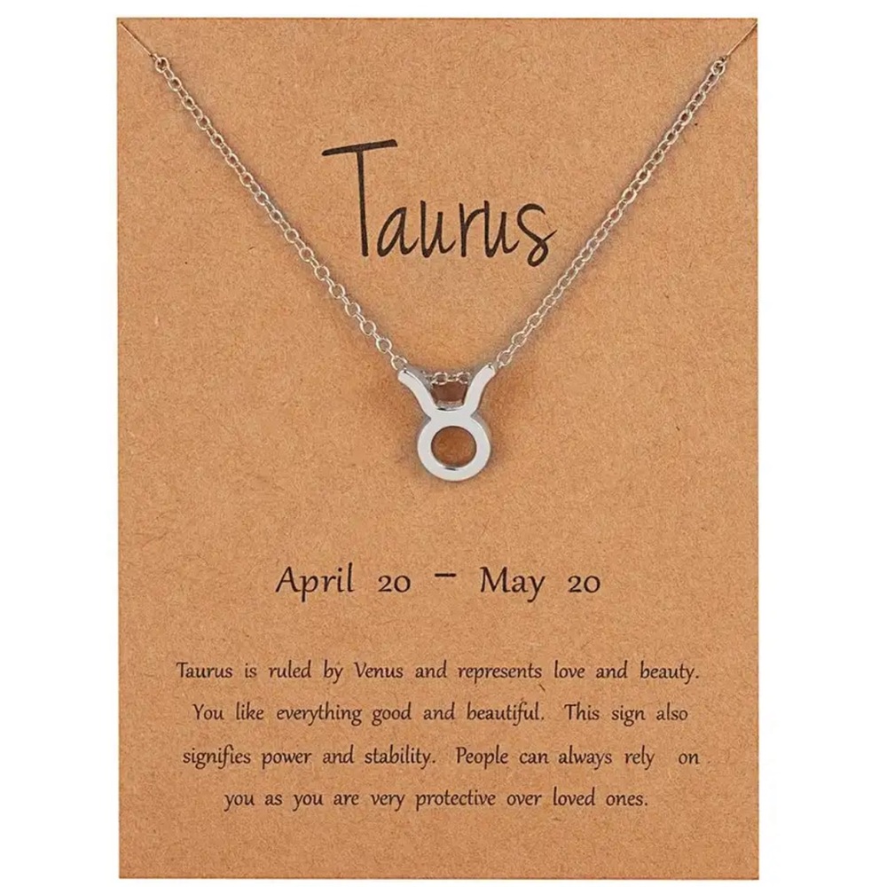 Taurus ♉️ Zodiac Sign Pendant Necklace Silver Tone Constellation Jewelry Charm